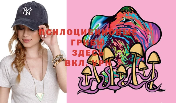 прущая мука Бронницы