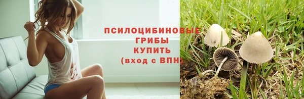 винт Бугульма