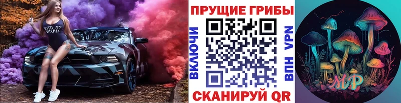 дарк нет наркотические препараты  Шимановск  Галлюциногенные грибы Psilocybe  где купить  